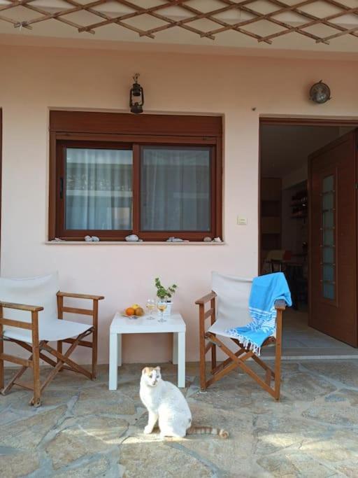 Cozy Apartment In The Heart Of Plaka Agios Nikolaos  Exterior photo